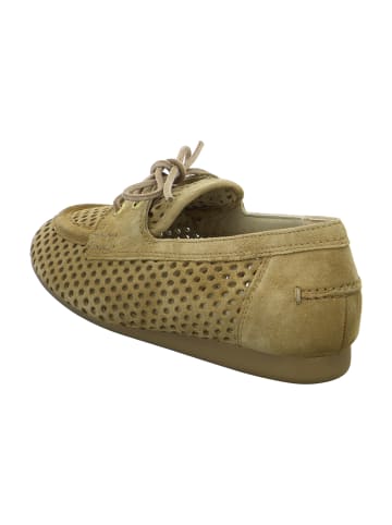 Paul Green Klassische Schnürschuhe in Beige
