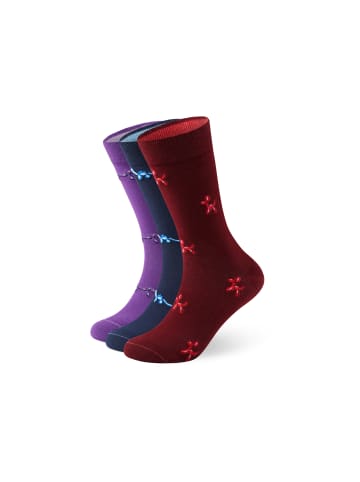 von Jungfeld Motivsocken Signature Icons II Bundle in Dog/Dinosaur/Dachshund