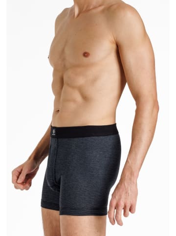 Haasis Bodywear 2er-Set: Pants in schwarz
