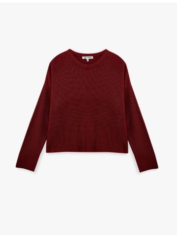 KOTON SWEATERS in Bordo