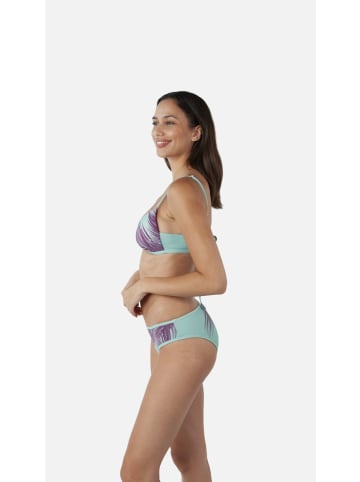 Barts Tasman Hipster Bikinihose in dark celadon