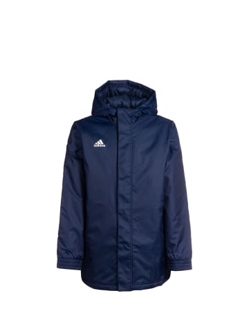 adidas Performance Stadionjacke Entrada 22 in dunkelblau / weiß