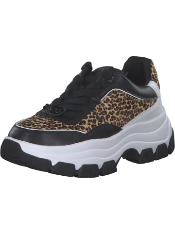 Guess Schnürschuhe in schwarz / leo