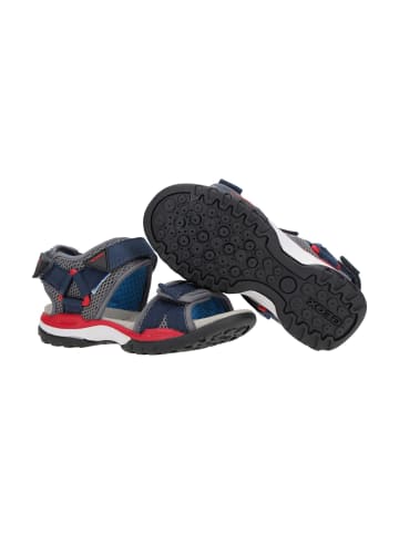 Geox Sandalen in Blau