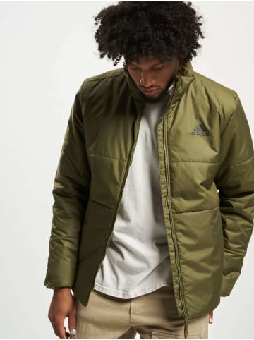 adidas Winterjacken in focus olive