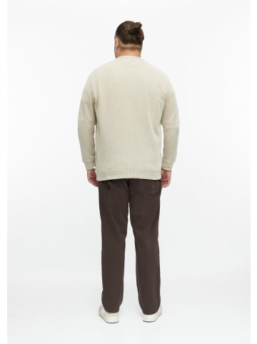 s.Oliver Sweatshirt in 93G3_beige