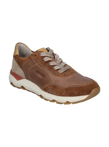 Josef Seibel Sneaker Jonah 05 in castagne-multi