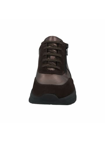 Solidus Sneaker für Damen in kombi