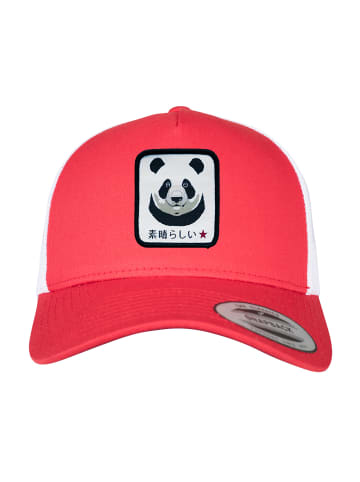 F4NT4STIC Trucker Cap Panda in red-white