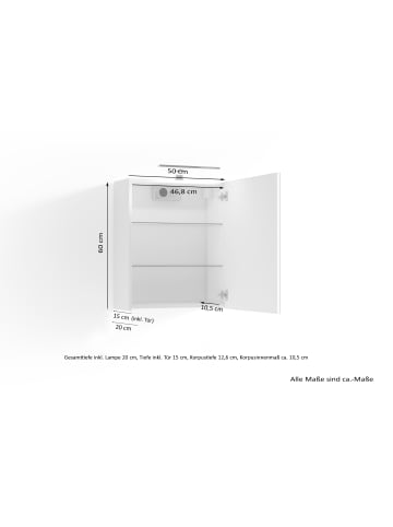 byLiving Spiegelschrank SPREE in anthrazit - B 50, H 60, T 20 cm