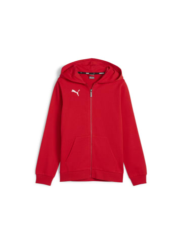 Puma Sweatshirt teamGOAL Casuals Hooded Jacket Jr  in rot