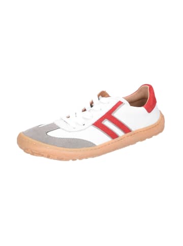 Froddo Schnürschuhe in weiß