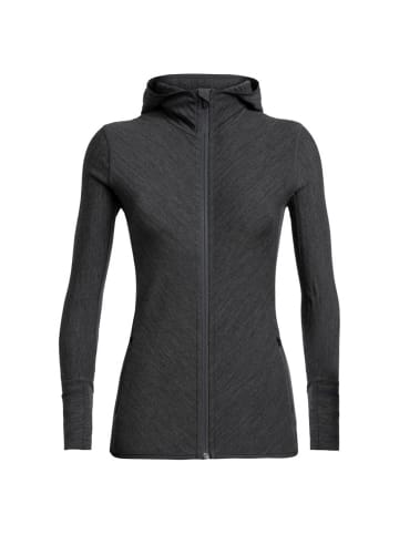 icebreaker Sweatshirt Descender LS Zip Hood in Dunkelgrau