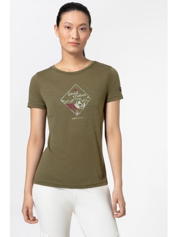 super.natural Merino T-Shirt W SOUND OF NATURE TEE in grün