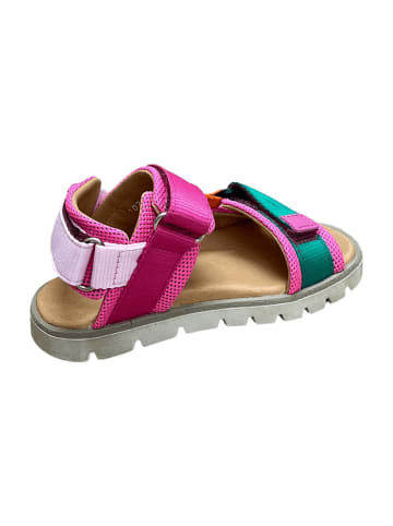 Froddo Sandalen in Bunt