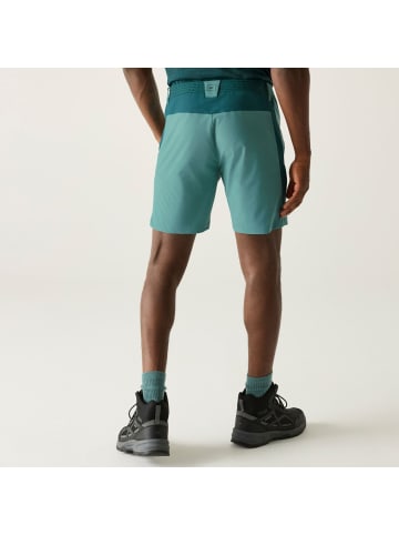 Regatta Mountain Shorts Kurze Wanderhose in Grün