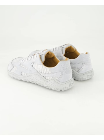 KOEL Barfußschuhe in Grau