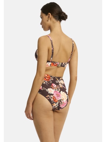 Sea Level Sea Level Bikini-Oberteile Rosewood in COCOA