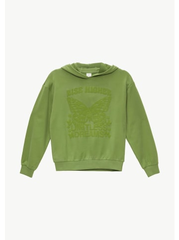 s.Oliver Sweatshirt in 7450_bambusgrün