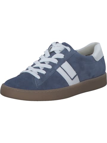 Paul Green Schnürschuhe in LAKE/WHITE