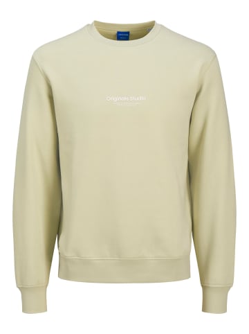 JACK & JONES Junior Sweatshirt in Celadon Tint