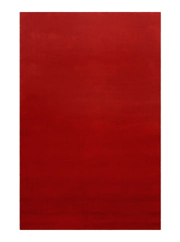 Homie Living Wollteppich Campino in Rot