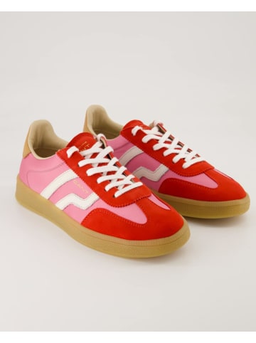 Gant Sneaker in Rosa