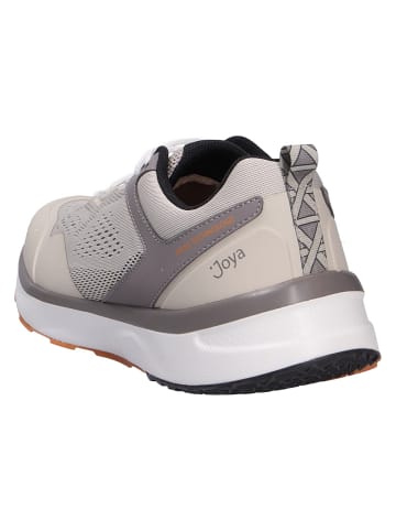 Joya Schnürschuh VELOCE M BEIGE in beige