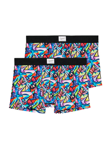 HOM Retro Short / Pant Idylle in Mehrfarbig