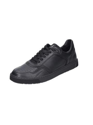 Sioux Sneaker Low in schwarz