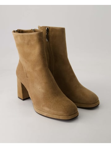 Terry Klassische Stiefeletten in Beige