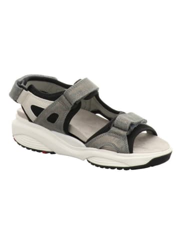 Xsensible Sandale in grau