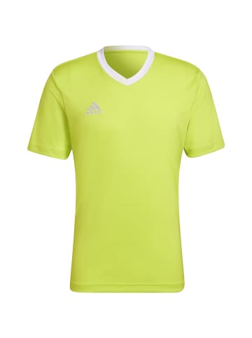 adidas Performance Fußballtrikot Entrada 22 in gelb / weiß