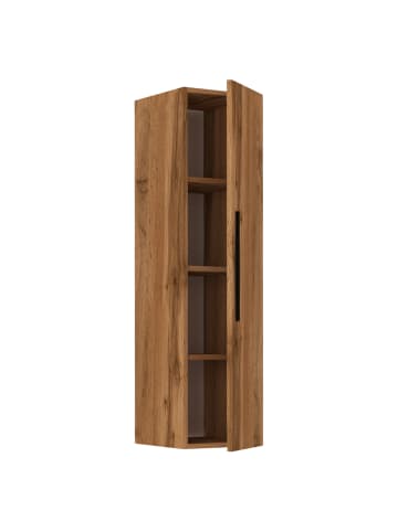 VCM Holz Wandregal Wandschrank Klappschrank Arila XL in Honig-Eiche