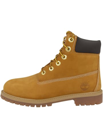 Timberland Schnürboots 6 Inch Premium in beige