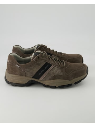 Pius Gabor Sneaker low in Grau