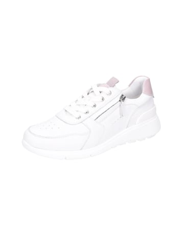 Josef Seibel Schnürschuhe in weiß