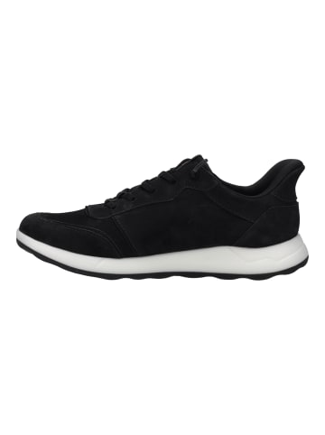 Josef Seibel Sneaker Clint 03 in schwarz