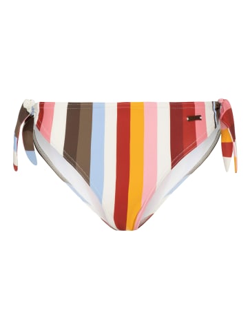 Protest " MM DYNAMIC in Clay