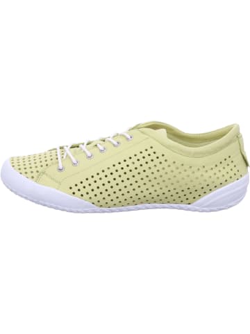 Andrea Conti Sneaker Low in grün
