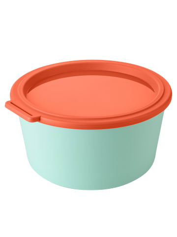 koziol NORA BOX 2,2l - Schale 2,2l mit Deckel in sweet green/strong coral