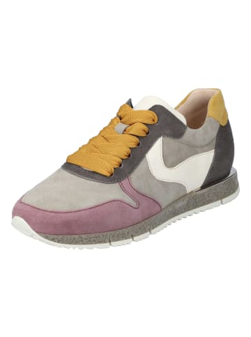 Gabor Sneaker in schilf/lavendel comb