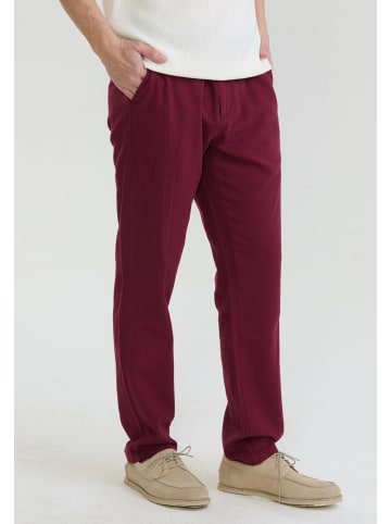 Felix Hardy Hose in Bordeaux