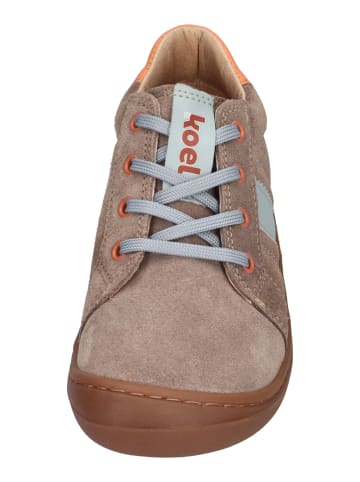 KOEL Sneaker Low BLAKE SUEDE in natur