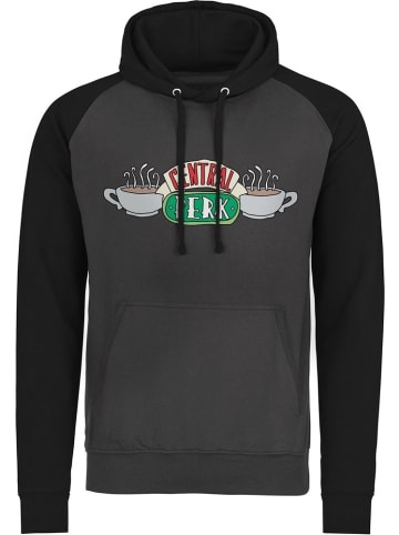 Friends Hoodie in Grau