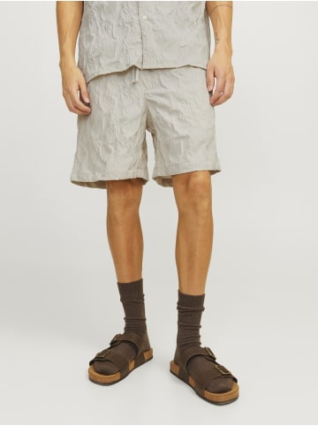 Jack & Jones Shorts in Moonbeam 2
