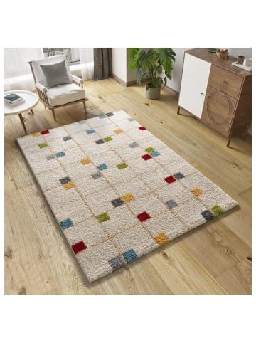 Atticgo Hochflor-Teppich BREMEN in mehrfarbig