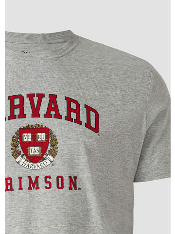 s.Oliver T-Shirt in 94D2_grau meliert