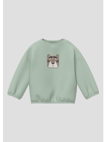 s.Oliver Sweatshirt in 6135_salbeigrün