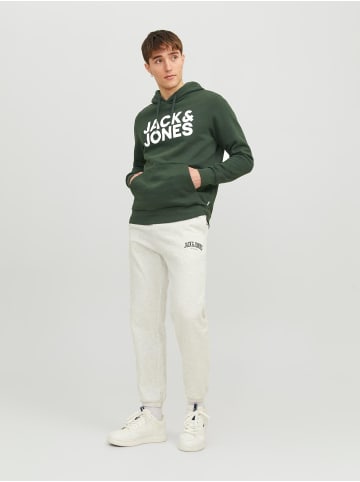 Jack & Jones Sweat Hoodie Kapuzen Pullover Sweatshirt JJECORP in Grün